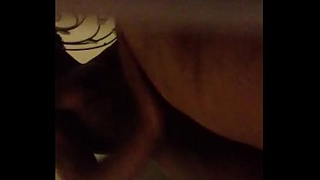 Gorilla on the kitty