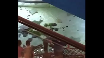 Always doing something