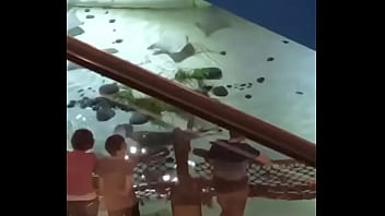 Always doing something