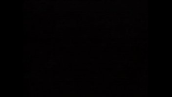 Two strangers takes care of a bitch