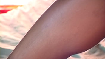 Persian squirt introduction