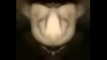 Double vision latina cock sucker