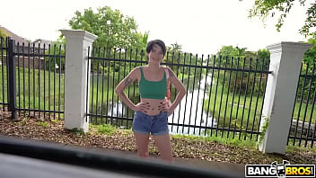 We spotted a wild kitty