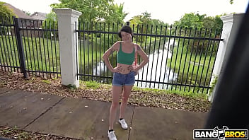 We spotted a wild kitty