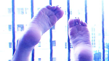 Beautiful mistress teasing with her long toes and wonderful feet