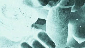 Retro erotic illustration