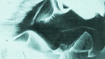 Retro erotic illustration