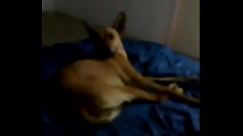 Jugando con mis deditos