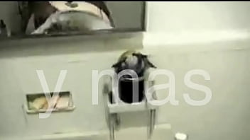 Mind amplitudecommunity