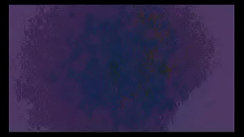 Comenta que es lo que logras ver o escuchar