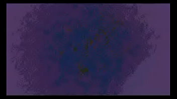 Comenta que es lo que logras ver o escuchar