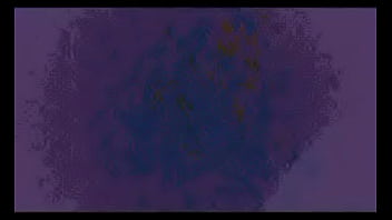 Comenta que es lo que logras ver o escuchar