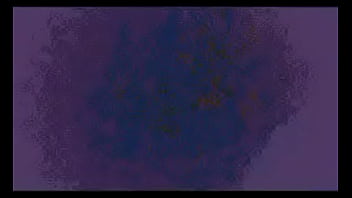 Comenta que es lo que logras ver o escuchar