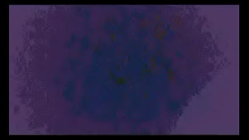 Comenta que es lo que logras ver o escuchar