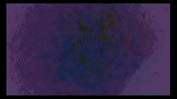 Comenta que es lo que logras ver o escuchar