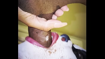 Evil villains fuck each other hardcore