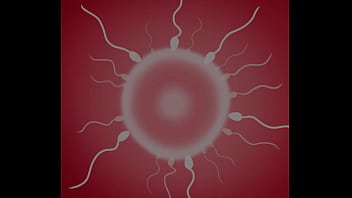 Korra riding animated