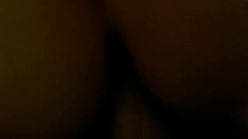 Stacy desmond chris wellnitz