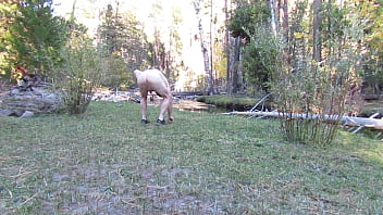 Naked camping
