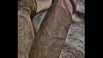 Shark On The Dick thumbnail