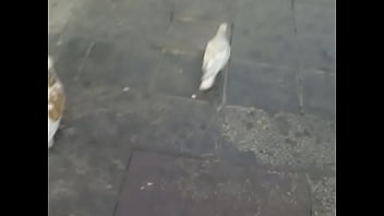 20150407 0005 thumbnail