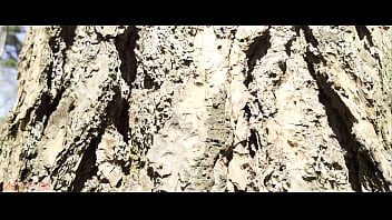 Mesmeriza 23 01 Mov Cinema Clip 325 326 327 20240814141600562 thumbnail