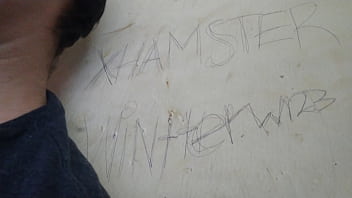 Vídeo de verificación