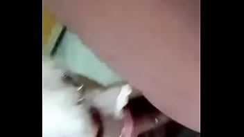 Vídeo De Verificação thumbnail