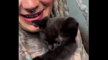 More kittens chilling with me how many kittens are too many #kittens #chillvibes #catlove #psylandbodysuit #inked