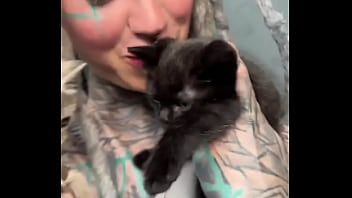 More kittens chilling with me how many kittens are too many #kittens #chillvibes #catlove #psylandbodysuit #inked