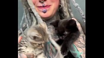 More kittens chilling with me how many kittens are too many #kittens #chillvibes #catlove #psylandbodysuit #inked