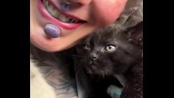 More kittens chilling with me how many kittens are too many #kittens #chillvibes #catlove #psylandbodysuit #inked