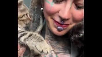 More kittens chilling with me how many kittens are too many #kittens #chillvibes #catlove #psylandbodysuit #inked