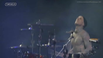 El retorno de tom delonge El retorno de tom delonge