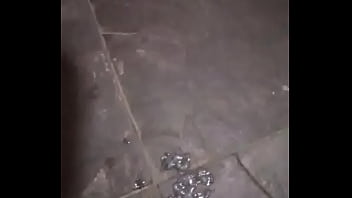 Gozadas fartas pra vc babar