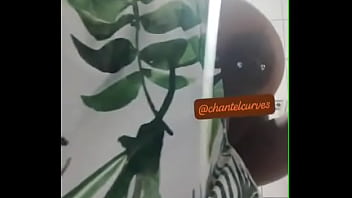 Posso cozinhar pra você vida mas depois vou querer meu leitinho quentinho