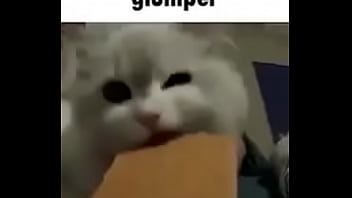 Cats Helpme thumbnail