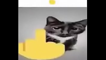 Cats Helpme thumbnail