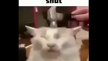 Cats Helpme thumbnail