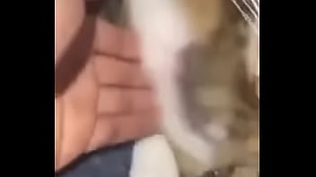 Cats Helpme thumbnail