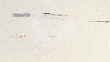 Jazmin modeling a two tone bikini for us