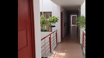 Que empiece la diversión