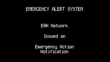 Real porn for real people