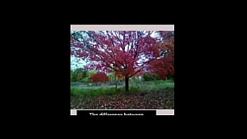 A blog about every other remake of songs that have the first time we made love lyrics while listening to older ones of them for free and for fun