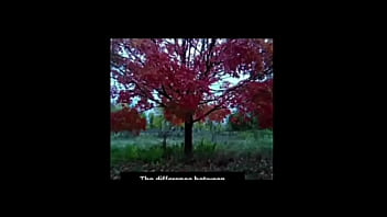 A blog about every other remake of songs that have the first time we made love lyrics while listening to older ones of them for free and for fun