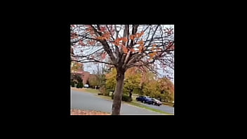 A blog about every other remake of songs that have the first time we made love lyrics while listening to older ones of them for free and for fun