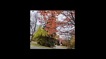 A blog about every other remake of songs that have the first time we made love lyrics while listening to older ones of them for free and for fun