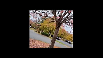 A blog about every other remake of songs that have the first time we made love lyrics while listening to older ones of them for free and for fun