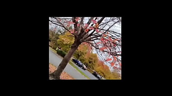 A blog about every other remake of songs that have the first time we made love lyrics while listening to older ones of them for free and for fun