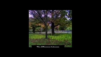 A blog about every other remake of songs that have the first time we made love lyrics while listening to older ones of them for free and for fun